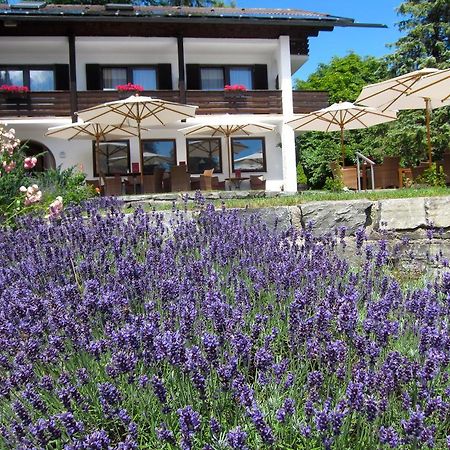 Seehof Apartments Walchensee Exterior foto